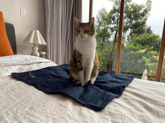 Do Grounding Products Emit EMF? Here’s What You Need to Know - Premium Grounding